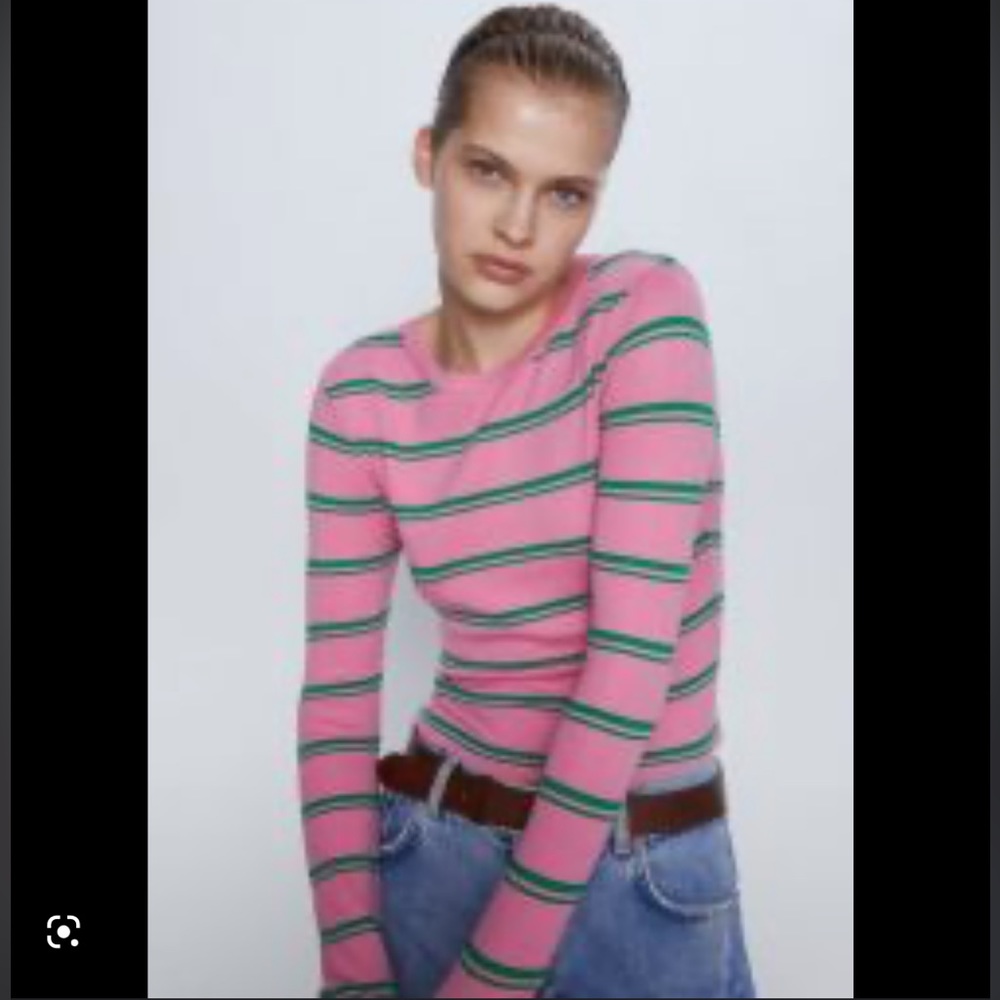 Zara Pink and Green Striped Crop Top